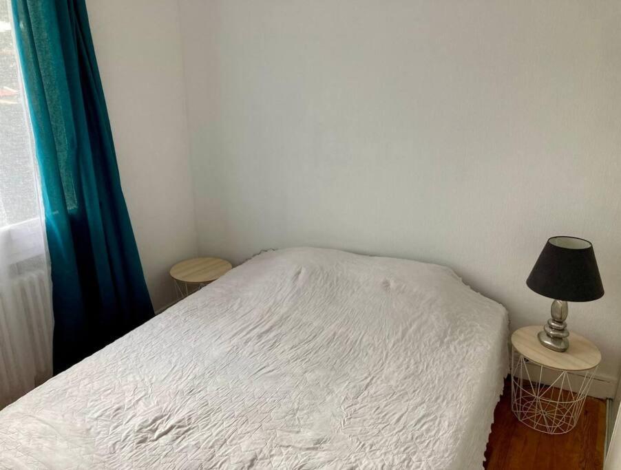 Grand Appartement Proche Cite De L'Espace トゥールーズ エクステリア 写真